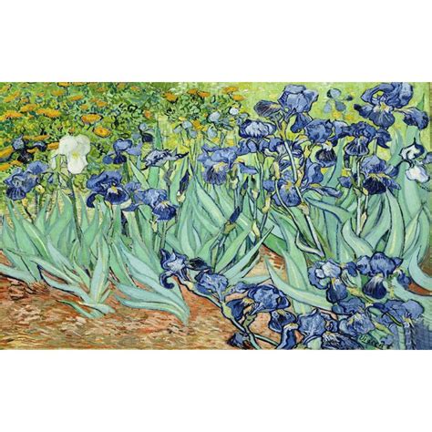 Cuadros de Van Gogh: Lirios Tamaño 55 x 46 cm Cuadro ...