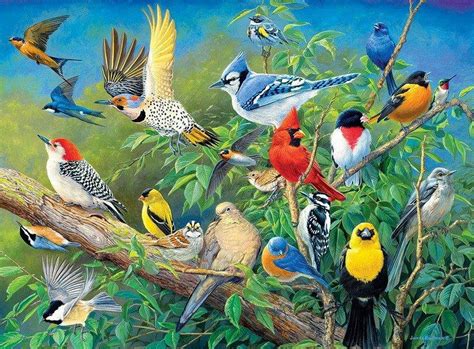 Cuadros Modernos Pinturas y Dibujos : Coloridos Pájaros y ...