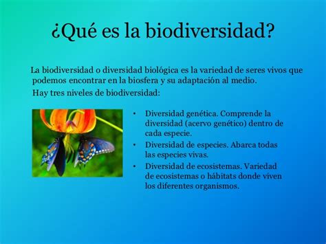 Cuadros sinópticos sobre biodiversidad | Cuadro Comparativo