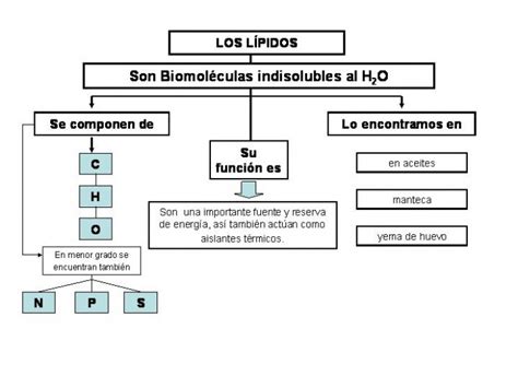 Cuadros sinópticos sobre lípidos: Clasificación de los lípidos | Cuadro ...