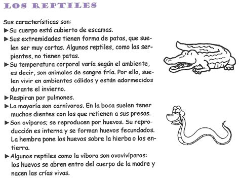 Cuadros sinópticos sobre reptiles y clasificación con ...