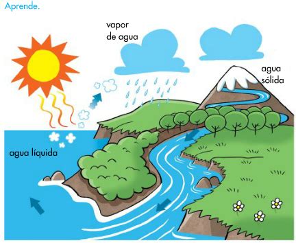 ¿cual es ciclo del agua?   Cocupo