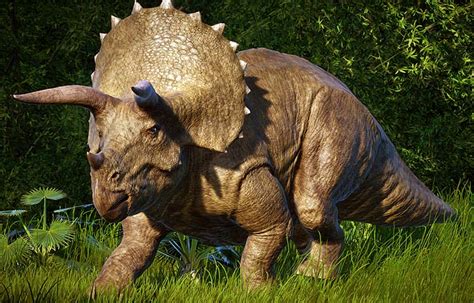 Cuál es el dinosaurio Triceratops – Sooluciona