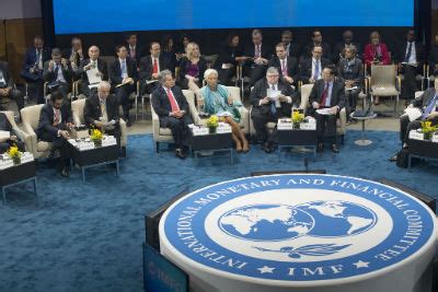 ¿Cuál es el rol del Fondo Monetario Internacional ...