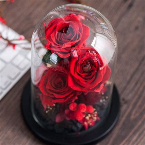 Cual es el Significado de Regalar Rosas Rojas el día de San Valentín