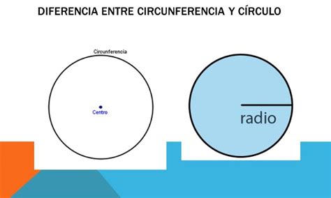 ¿Cuál es la Diferencia entre Círculo y Circunferencia? Bien Explicado