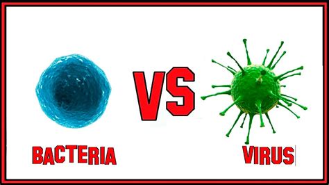 ¿Cuál es la Diferencia entre Virus y Bacterias? Bien Explicado