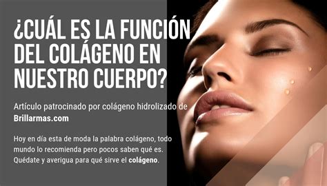 ¿Cuál es la función del colágeno en el cuerpo humano? ⋆ Brillar mas