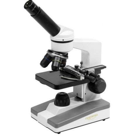 Cual es la Función del Microscopio  【 Tipos de Microscopios