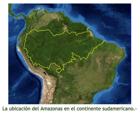 ¿Cuál es la importancia de la Amazonía?