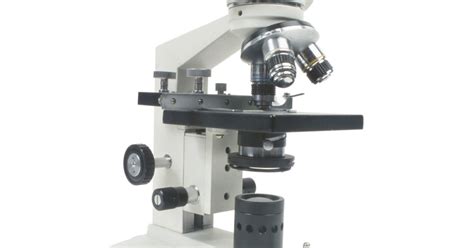 ¿Cuál es la resolución de un microscopio? | eHow en Español