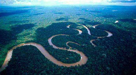 ¿Cual es la selva mas grande del mundo? » Respuestas.tips