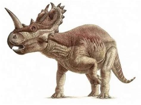 ¿Cuál fue el primer dinosaurio? | Enciclopedia sobre ...