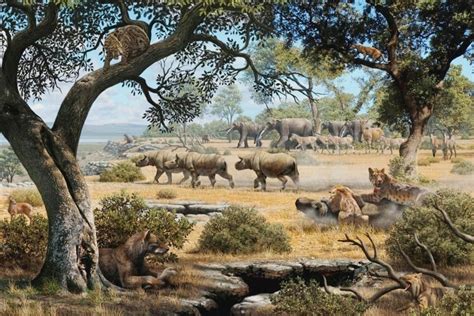 ¿Cuál fue el principal factor que impulsó la extinción de la megafauna ...