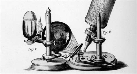 ¿Cuál fue la contribución de Robert Hooke?