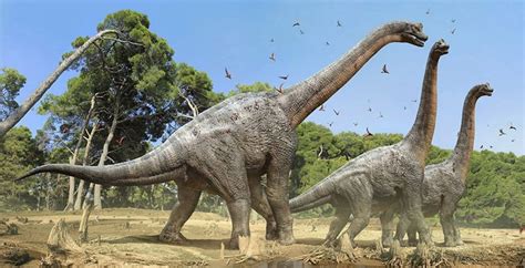 Cuales eran los dinosaurios más famosos | El Popular