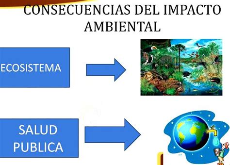 Cuáles son las consecuencias del impacto ambiental   Blog ...
