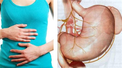 ¿Cuáles son las enfermedades que pueden afectar el estómago?