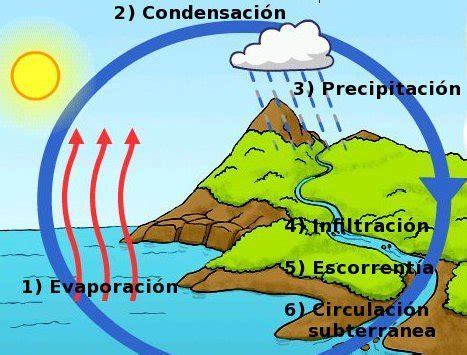 ¿Cuáles son las etapas del ciclo del agua?   Blog didáctico