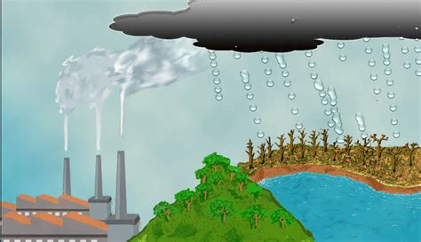 Cuáles son las posibles soluciones de la lluvia ácida – Nuestroclima