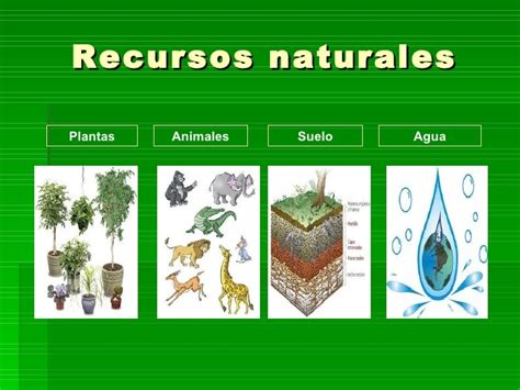 Cuáles son los recursos naturales
