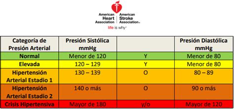 ¿Cuándo debemos considerar alta la presión arterial? | El ...