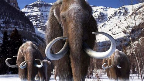 Cuando los mamuts veraneaban en Galicia