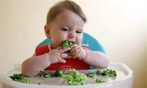 ¿Cuándo pueden los bebés comer alimentos sólidos? | Noticias de México ...