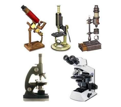 ¿Cuándo se inventó el microscopio compuesto? « Historia De ...
