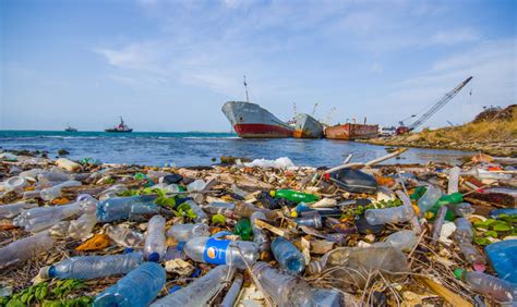 ¿Cuánta basura marina hay en Chile? Académicos buscan ...