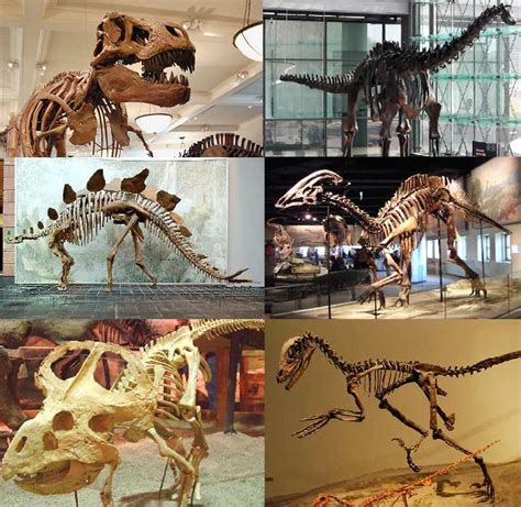 ¿Cuántas especies de dinosaurios existieron en el planeta ...