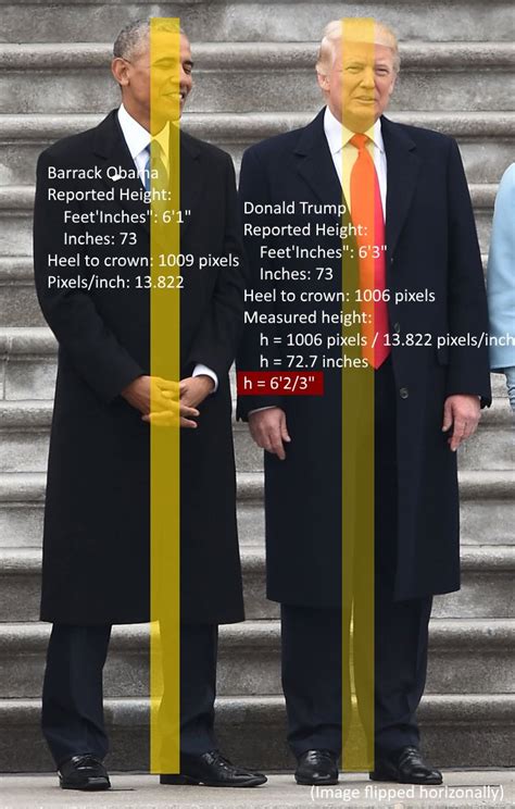¿Cuánto mide Donald Trump?   Estatura y peso   Real height and weight ...