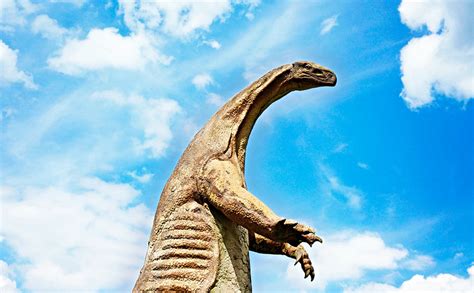 ¿Cuánto miden los dinosaurios? | Medidas de los dinosaurios