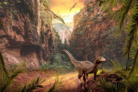 ¿Cuánto vivían los dinosaurios? | Esperanza de vida de los ...
