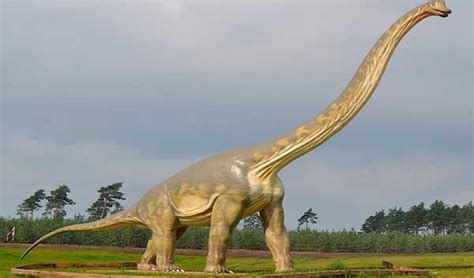 ¿Cuánto vivían los dinosaurios? – Longevidad en la prehistoria
