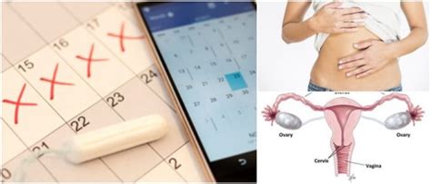 ¿Cuántos Días Dura la Menstruación? Permanencia y Factores que Afectan ...