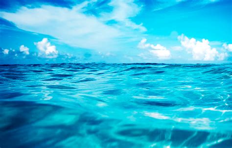 Cuántos oceanos hay en el mundo y cuáles son – Sooluciona