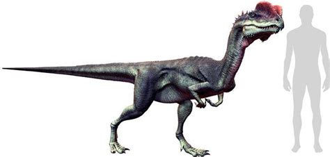 ¿Cuántos tipos de dinosaurios existen? ¿Están todos extintos?