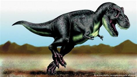 ¿Cuántos Tiranosaurios Rex habitaron la Tierra? 2.500 millones, según ...