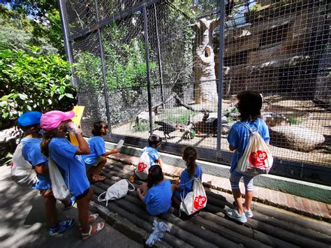 Cuidadores y veterinarios: pequeños | Zoo Barcelona