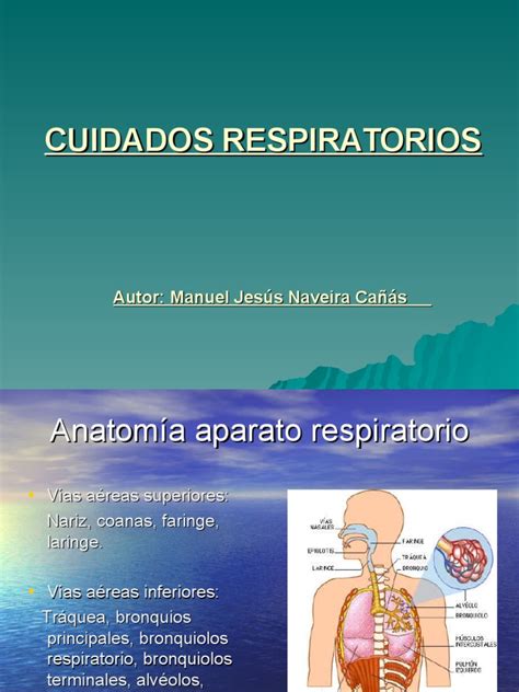 cuidados respiratorios | Tos | Sistema respiratorio | Prueba gratuita ...