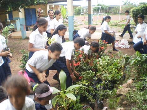 CUIDAR LA NATURALEZA ES NUESTRO HOBBIE: VIVEROS ESCOLARES