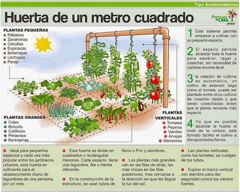 Cultivar el Huerto Casero.: Disfrutar de un huerto en casa.