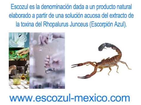 cura para el cancer con escozul escoazul   YouTube