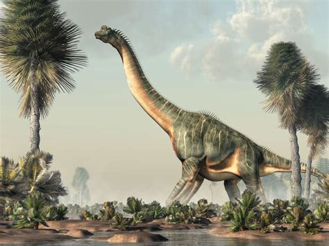 Curiosidades del Brachiosaurus