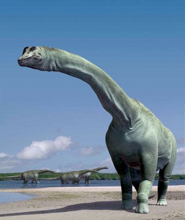 Curiosidades Dinosáuricas: Dinosaurios Argentinos.