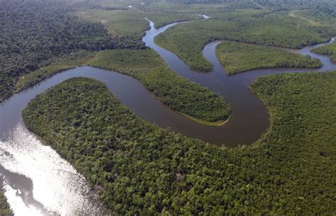 Curiosidades impactantes sobre el Río Amazonas   El Blog ...