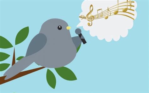 Curiosidades sobre el canto de los pájaros para niños ~ Cuentitis aguda