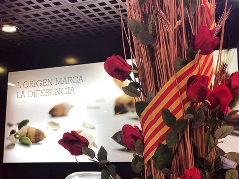 Curiosidades sobre Sant Jordi 2020 y actividades para niños   Andreu