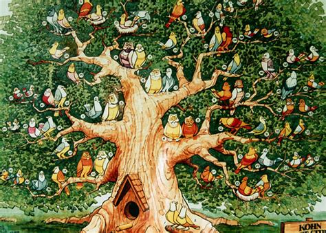 Custom Family Trees: Bird tree